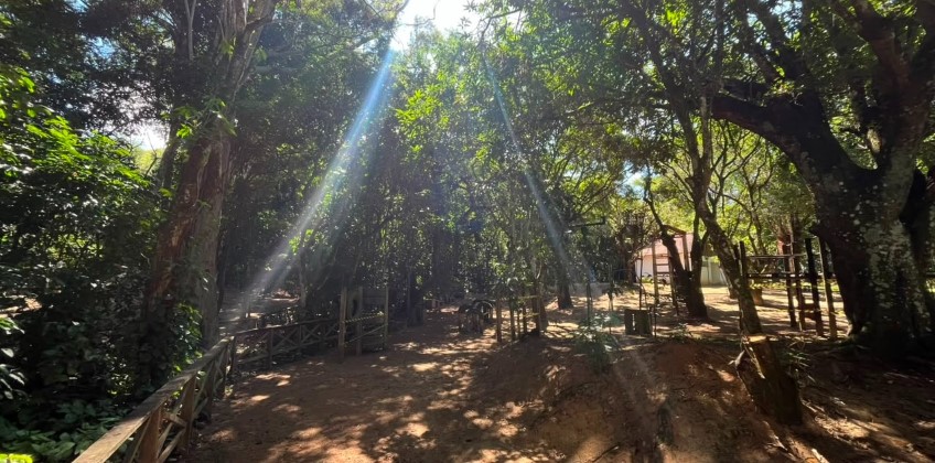 Barra do Piraí promove "Um Dia no Horto" com programação gratuita de lazer e educação ambiental